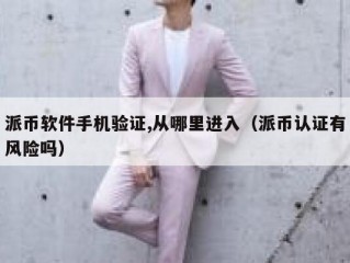 派币软件手机验证,从哪里进入（派币认证有风险吗）