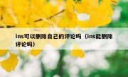 ins可以删除自己的评论吗（ins能删除评论吗）