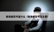 服务器型号是什么（服务器型号怎么看）