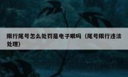 限行尾号怎么处罚是电子眼吗（尾号限行违法处理）