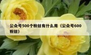 公众号500个粉丝有什么用（公众号600粉丝）