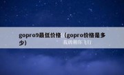 gopro9最低价格（gopro价格是多少）