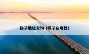 梯子地址查询（梯子在哪找）