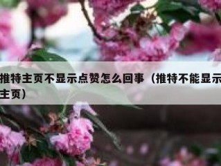 推特主页不显示点赞怎么回事（推特不能显示主页）
