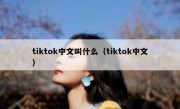 tiktok中文叫什么（tiktok中文）
