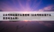 公众号粉丝是什么意思呀（公众号粉丝是什么意思呀怎么弄）