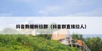 抖音数据粉拉群（抖音群直接拉人）