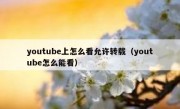youtube上怎么看允许转载（youtube怎么能看）