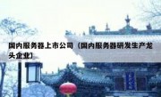 国内服务器上市公司（国内服务器研发生产龙头企业）
