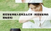 樱花智能锁输入密码怎么打开（樱花智能锁的初始密码）