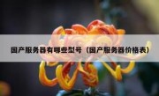 国产服务器有哪些型号（国产服务器价格表）