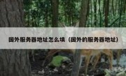 国外服务器地址怎么填（国外的服务器地址）