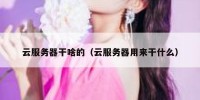 云服务器干啥的（云服务器用来干什么）