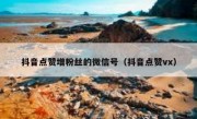 抖音点赞增粉丝的微信号（抖音点赞vx）