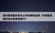 国内服务器的龙头公司有哪些品牌（中国服务器的龙头股票是哪只）