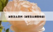 油管怎么获利（油管怎么赚取收益）
