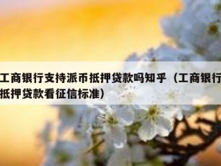 工商银行支持派币抵押贷款吗知乎（工商银行抵押贷款看征信标准）