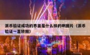 派币验证成功的界面是什么样的啊图片（派币验证一直转圈）