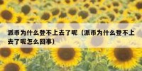 派币为什么登不上去了呢（派币为什么登不上去了呢怎么回事）