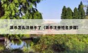 派币怎么注册不了（派币注册姓名步骤）
