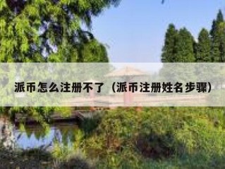 派币怎么注册不了（派币注册姓名步骤）