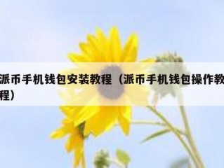派币手机钱包安装教程（派币手机钱包操作教程）