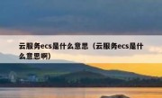 云服务ecs是什么意思（云服务ecs是什么意思啊）