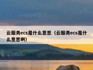 云服务ecs是什么意思（云服务ecs是什么意思啊）