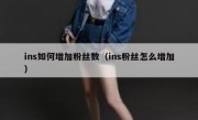 ins如何增加粉丝数（ins粉丝怎么增加）