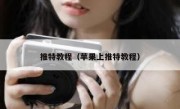 推特教程（苹果上推特教程）