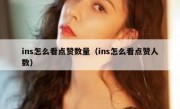 ins怎么看点赞数量（ins怎么看点赞人数）