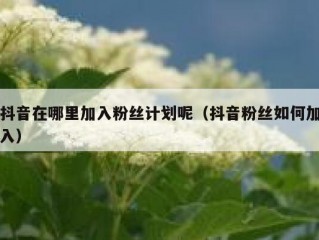 抖音在哪里加入粉丝计划呢（抖音粉丝如何加入）