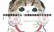 资源服务器是什么（资源服务器是什么意思啊）