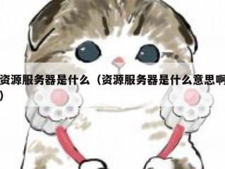 资源服务器是什么（资源服务器是什么意思啊）