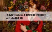 怎么在youtube上看电视剧（如何用youtube看视频）