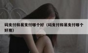 码支付和易支付哪个好（码支付和易支付哪个好用）