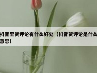 抖音里赞评论有什么好处（抖音赞评论是什么意思）