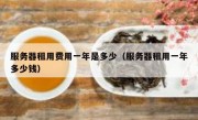 服务器租用费用一年是多少（服务器租用一年多少钱）