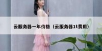 云服务器一年价格（云服务器1t费用）