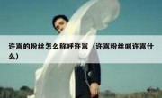 许嵩的粉丝怎么称呼许嵩（许嵩粉丝叫许嵩什么）