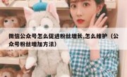 微信公众号怎么促进粉丝增长,怎么维护（公众号粉丝增加方法）