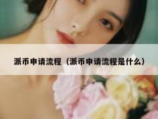 派币申请流程（派币申请流程是什么）