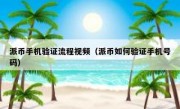 派币手机验证流程视频（派币如何验证手机号码）