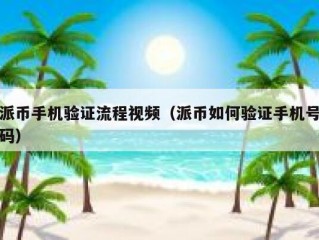 派币手机验证流程视频（派币如何验证手机号码）