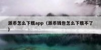 派币怎么下载app（派币钱包怎么下载不了）