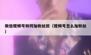 微信视频号如何加粉丝团（视频号怎么加粉丝）
