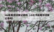 ins能看到访客记录吗（小红书能看到访客记录吗）