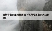 视频号怎么进粉丝团里（视频号里怎么关注粉丝）
