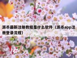 派币最新注册教程是什么软件（派币app注册登录流程）
