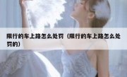 限行的车上路怎么处罚（限行的车上路怎么处罚的）
